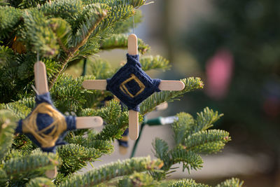 Close-up of christmas decoration on tree