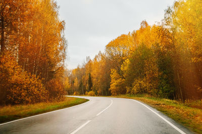 Empty road among the autumn forest, perspective. beautiful rainy landscape.