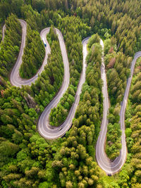 High angle view of road amidst trees in forest