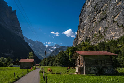 Landscape and nature between lauterbrunnen and strechelberg, switzerland