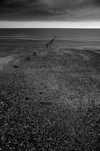 View of horse on beach against the sky