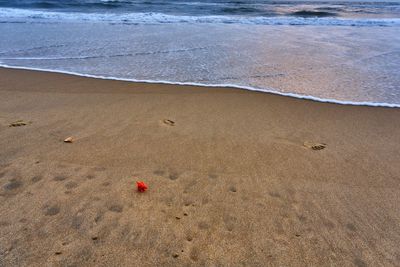 Close-up of wet sand on beach