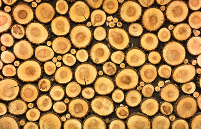 Full frame shot of logs