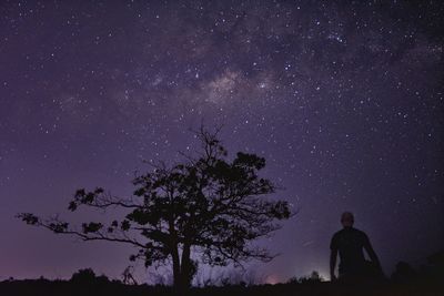 Silhouette tree against sky at night