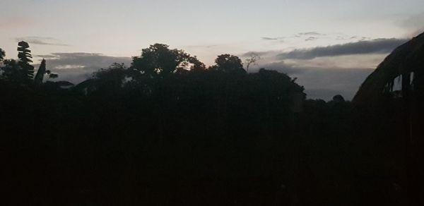 Silhouette trees against sky at sunset