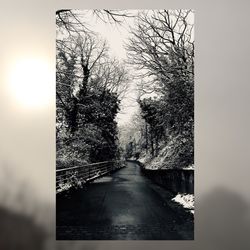 Road amidst trees against sky