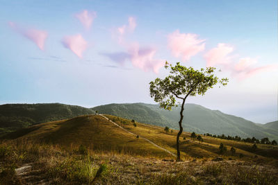 Scenic view of landscape against sky