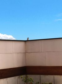 Low angle view of bird on building against sky