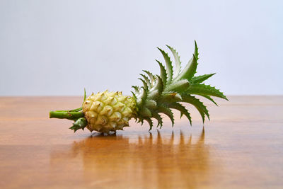 Close-up of bananas on table