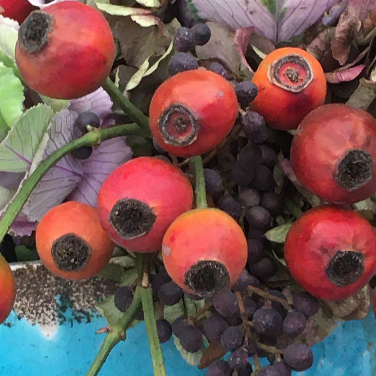 HIGH ANGLE VIEW OF FRUITS ON FIELD