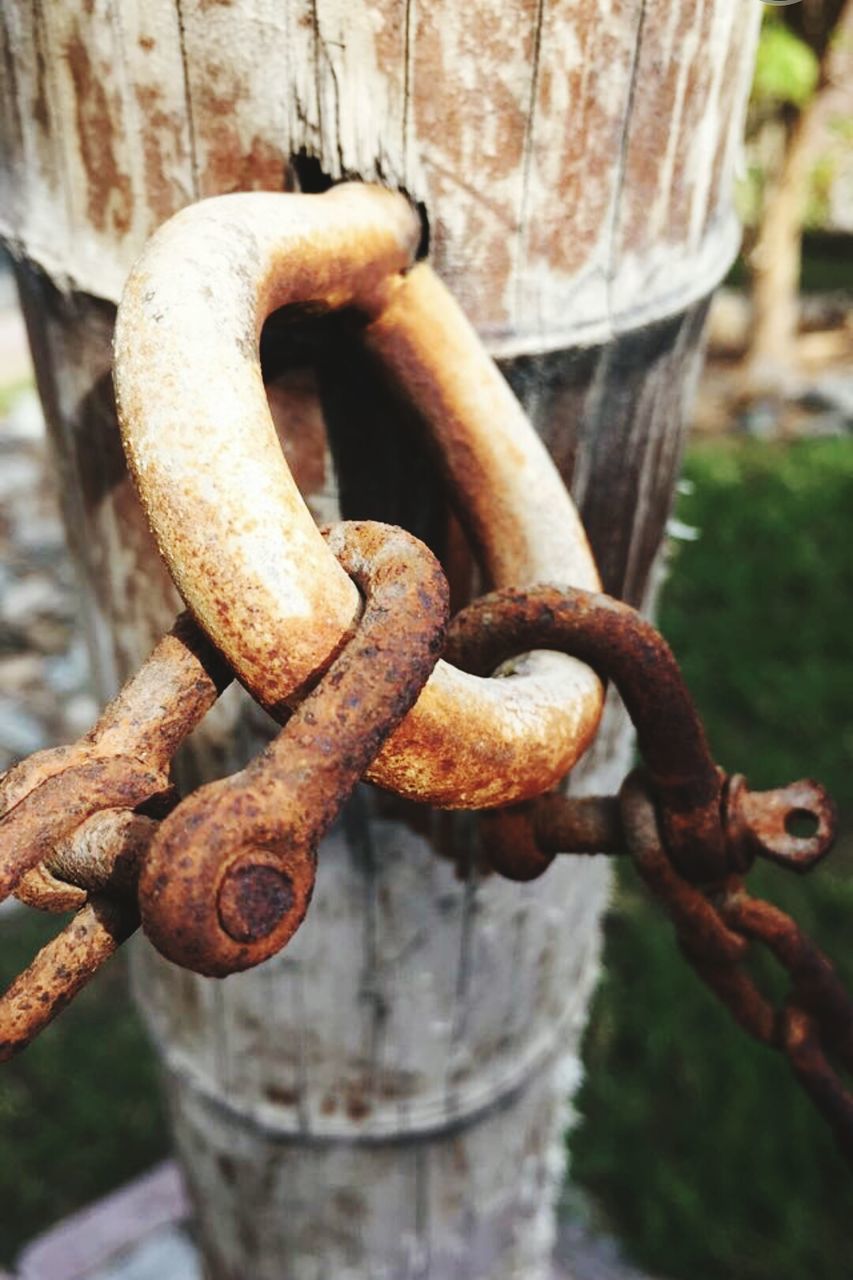 rusty, metal, close-up, focus on foreground, chain, strength, old, metallic, weathered, wood - material, security, day, outdoors, fence, safety, protection, deterioration, no people, rope, tree