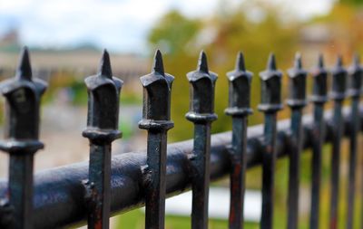 Close-up of metal fence against blurred background