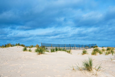 Scenic view of beach against sky