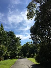 Trees against sky