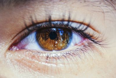 Close-up portrait of human eye