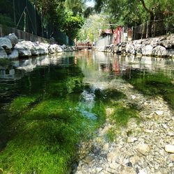 Reflection of built structures in water