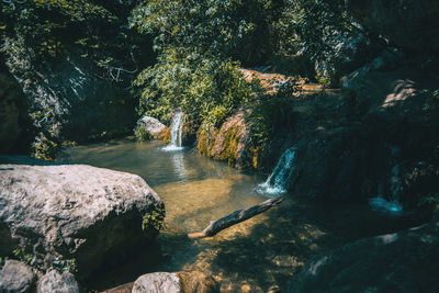 Scenic view of waterfall in forest