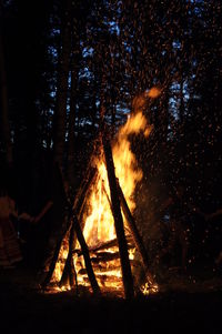 Bonfire at forest during night