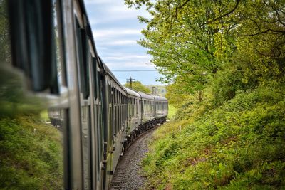 Train amidst trees against sky