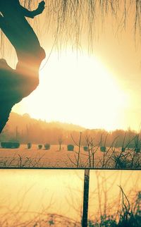 Sunset over landscape