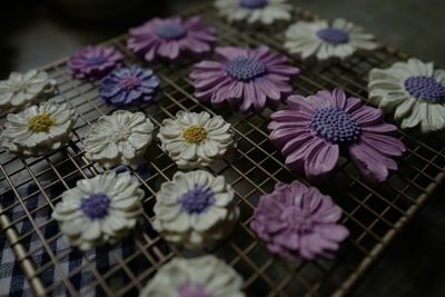 High angle view of purple flowers on table