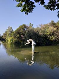 Swan in lake against sky