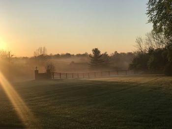 Countryside morning