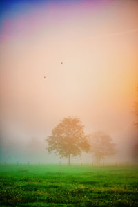 Scenic view of grassy field against cloudy sky