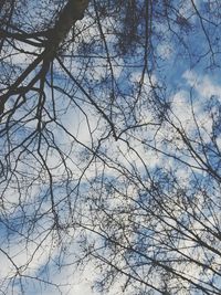 Low angle view of bare trees against sky