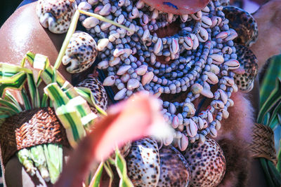 Close-up of hand holding fruits