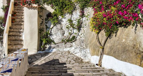 Low angle view of steps by building