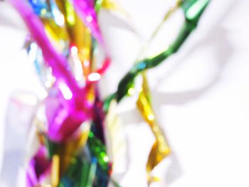 Close-up of flowers blooming outdoors