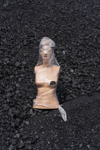 High angle view of woman standing on road