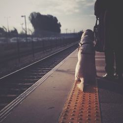 Railroad track against sky