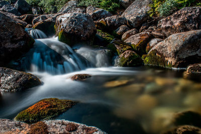 Scenic view of waterfall in forest