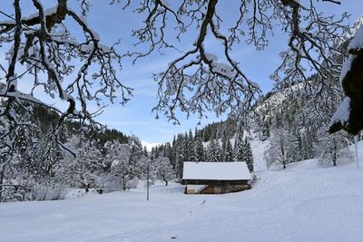 Snow covered trees on field against sky during winter