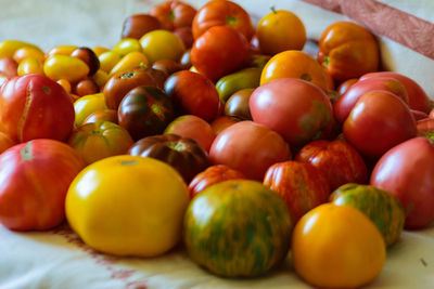 Tomatoes on the table, healthy diet, autumn harvest, tomatoes of different shapes and colors