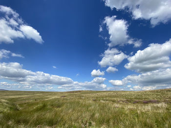 Long grasses, wild moorland, stretching to the horizon in, bolton by bowland, clitheroe, uk