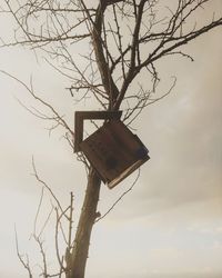 Low angle view of bird perching on tree against sky