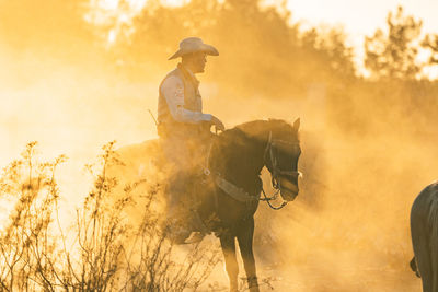 Man riding horse with sun shining through the dust