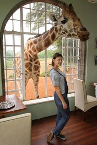 Portrait of woman standing by giraffe peeking through window at home