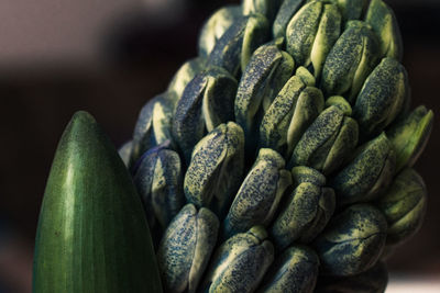 Close-up of bananas at market stall