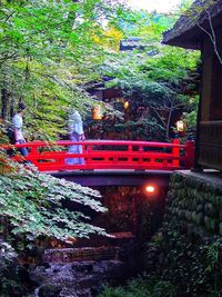 View of bridge in forest