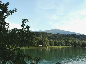 Scenic view of lake by trees against sky