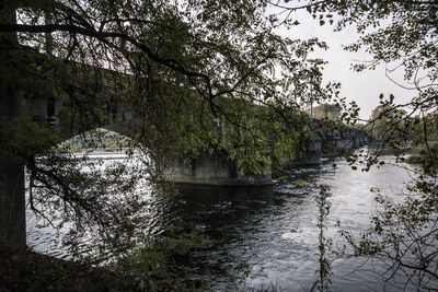 Scenic view of river by trees against sky