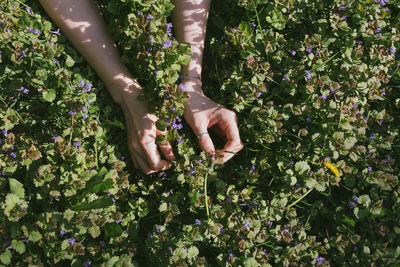 Low section of woman standing by flowering plants