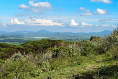 Savannah grassland landscapes against a mountain background in rural kenya, naivasha