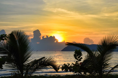 Silhouette palm trees by sea against romantic sky at sunset