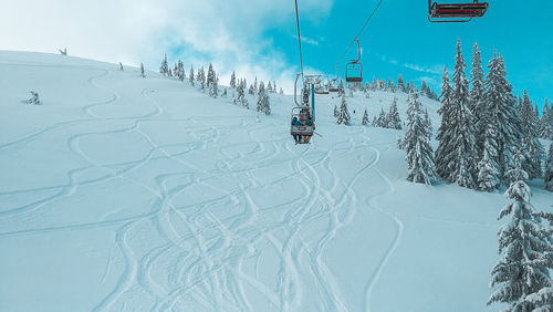 People skiing on snow covered landscape