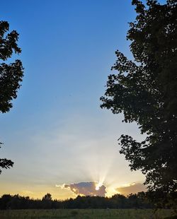 Low angle view of silhouette trees against sky during sunset